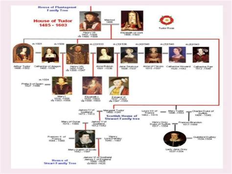 quale dinastia dopo i tudor|house of tudor timeline.